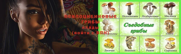 стафф Баксан