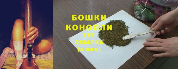 шишки Беломорск