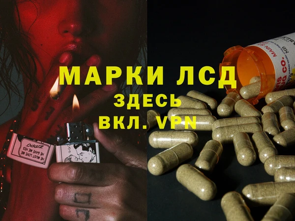 MESCALINE Белокуриха