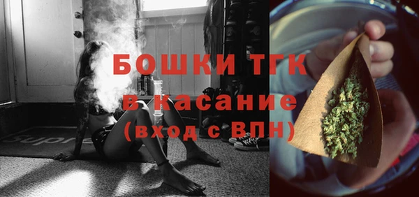 шишки Беломорск