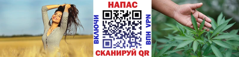 Бошки марихуана гибрид  Куйбышев 